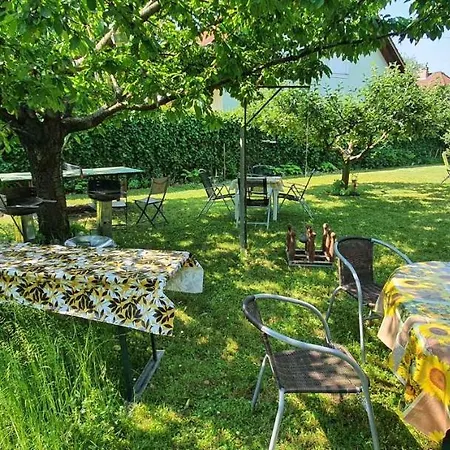 Appartamento In 33542